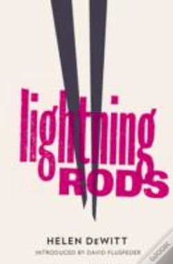 Capa do artigo Lightning Rods