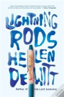 Capa do artigo Lightning Rods