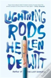 Capa do artigo Lightning Rods