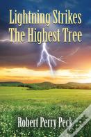 Lightning Strikes The Highest Tree