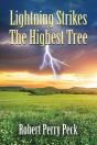 Lightning Strikes The Highest Tree - Preview