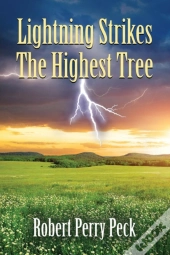 Lightning Strikes The Highest Tree