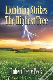 Capa do artigo Lightning Strikes The Highest Tree