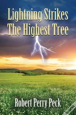 Capa do artigo Lightning Strikes The Highest Tree