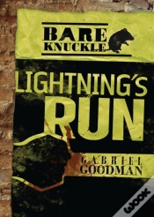 Capa do artigo Lightning