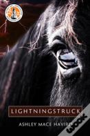 Lightningstruck