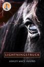 Lightningstruck - Preview