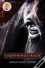 Capa do artigo Lightningstruck