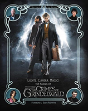 Lights Camera Magic November 2018 - Preview