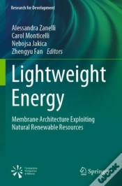 Capa do artigo Lightweight Energy