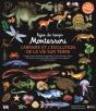 Ligne Du Temps Montessori - L'Arrivee Et L'Evolution De La Vie Sur Terre - Preview