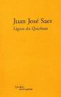Lignes De Force Du Quichotte - Preview