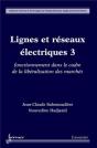 Lignes Et Réseaux Électriques 3 : Fonctionnement Dans Le Cadre De La Libéralisation Des Marchés - Preview
