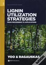 Lignin Utilization Strategies
