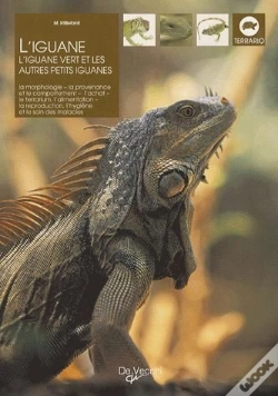 Capa do artigo L'Iguane