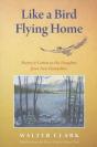 Like A Bird Flying Home - Preview