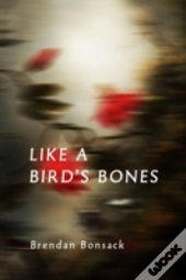 Like A Bird'S Bones
