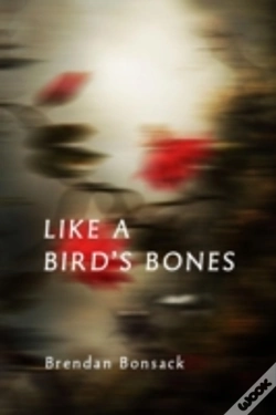Capa do artigo Like A Bird'S Bones