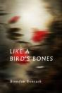 Like A Bird'S Bones - Preview