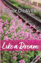 Capa do artigo Like A Dream