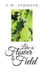 Like A Flower In The Field - Preview