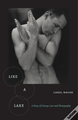 Capa do artigo Like A Lake