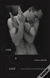 Capa do artigo Like A Lake
