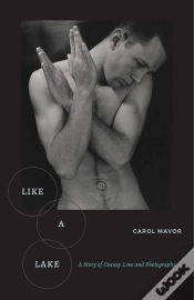 Capa do artigo Like A Lake