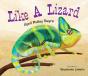 Like A Lizard - Preview