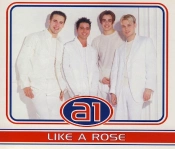Capa do artigo Like A Rose - CD