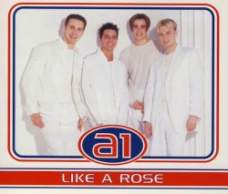 Capa do artigo Like A Rose - CD