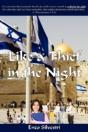 Like A Thief In The Night - Preview