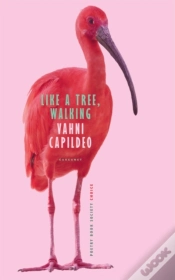 Capa do artigo Like A Tree, Walking