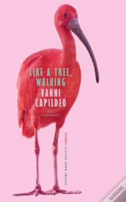 Capa do artigo Like A Tree, Walking