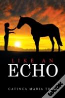 Like An Echo