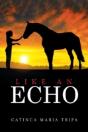 Like An Echo - Preview