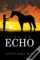 Like An Echo