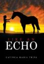 Like An Echo - Preview