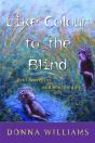 Like Colour To The Blind - Preview