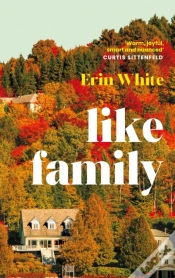 Capa do artigo Like Family