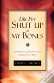 Capa do artigo Like Fire Shut Up In My Bones