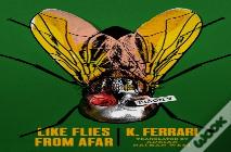 Like Flies From Afar