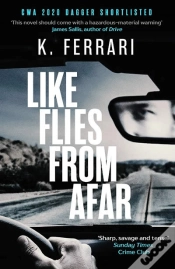 Capa do artigo Like Flies From Afar