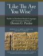 'Like 'Ilu Are You Wise' - Preview