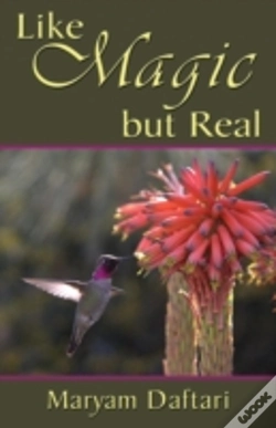 Capa do artigo Like Magic But Real