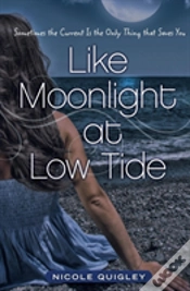 Capa do artigo Like Moonlight At Low Tide