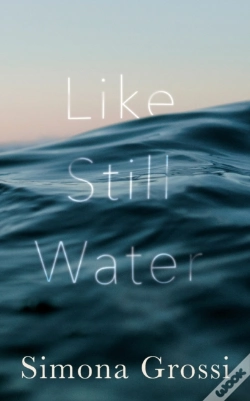 Capa do artigo Like Still Water