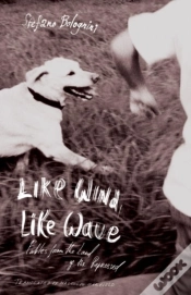 Capa do artigo Like Wind, Like Wave