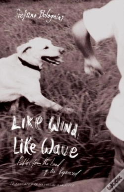 Capa do artigo Like Wind, Like Wave
