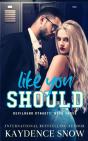 Like You Should - Preview